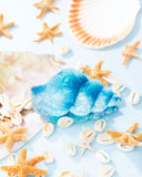 Smooth Seashell - Blue - Paparazzi Accessories - Hair Clip - Jewelry with Erin Binford